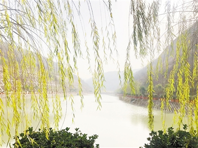 中国情形报：守护三秦大地绿水青山——优发国际集团建设以来，，，成为陕西污染防治的排头兵