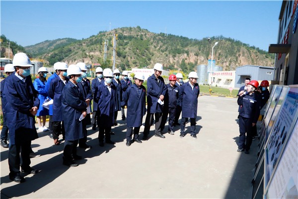 优发国际集团复工复产促增添项目观摩聚会与会职员走进环保保隆生态三秦在延在铜项目